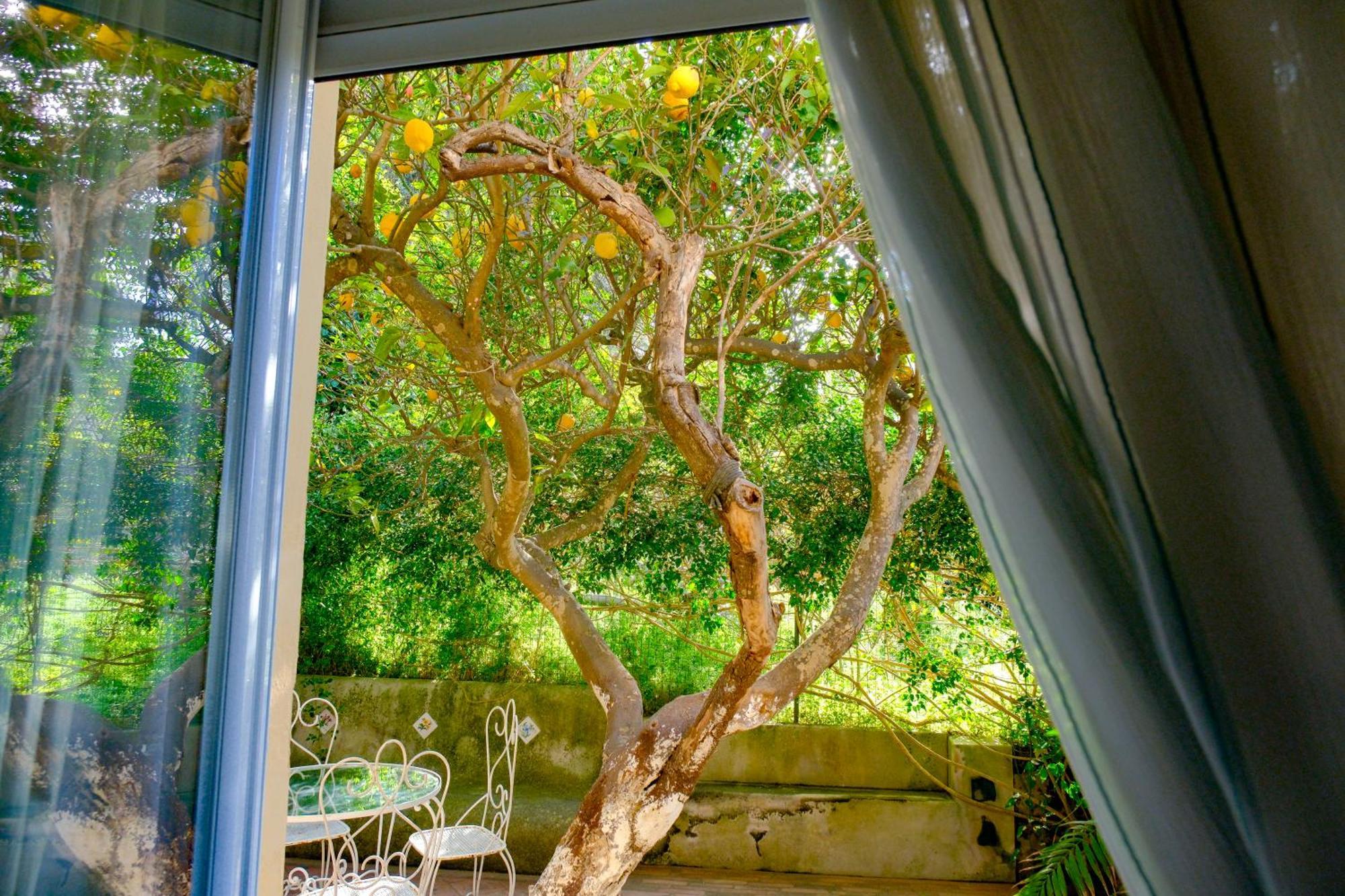 Villa Dorothee Capri Exterior photo